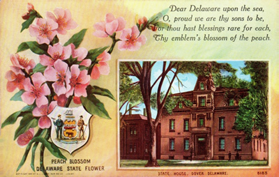 Delaware state flower and state capitol
