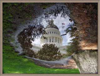 California capitol dome reflected in a puddle