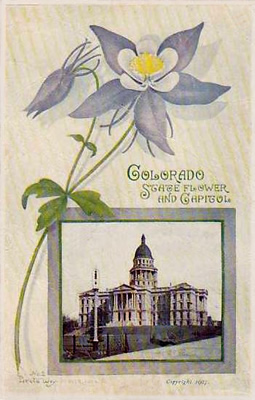 Early postcard of state flower and capitol