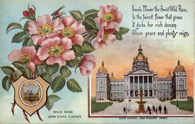 Iowa state flower and capitol