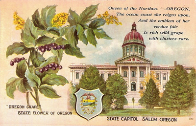 Go to What's On Top - Oregon