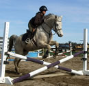 Horse jumping X