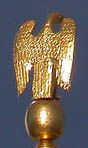 Eagle, rear view