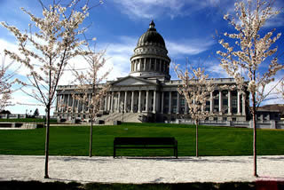 Utah capitol with flowering trees